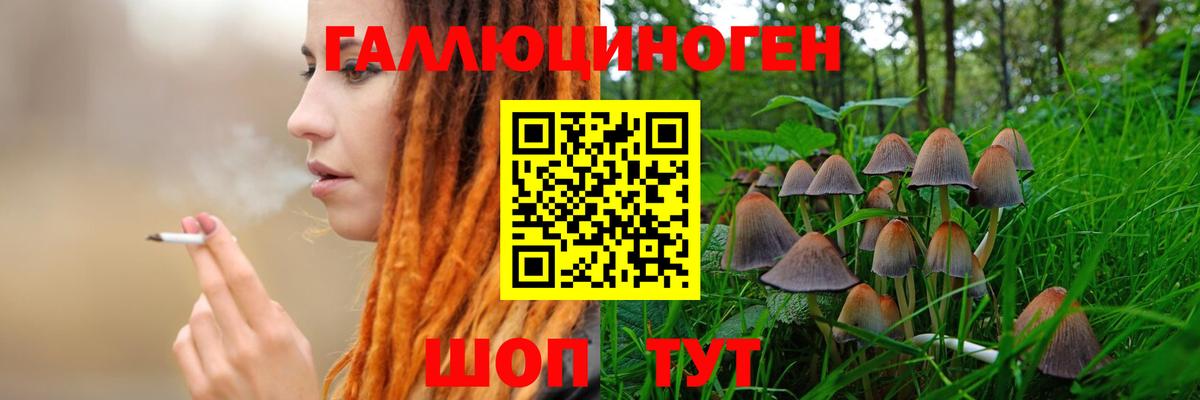 Галлюциногенные грибы MAGIC MUSHROOMS Соль-Илецк
